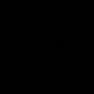 Meet your Posher, Lea